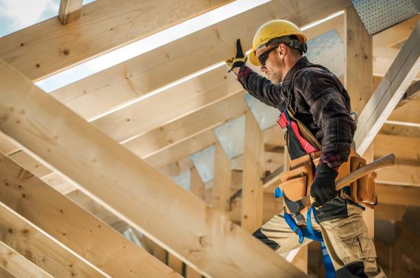 Best Roof Inspection Near Me  in Crainvle, IL