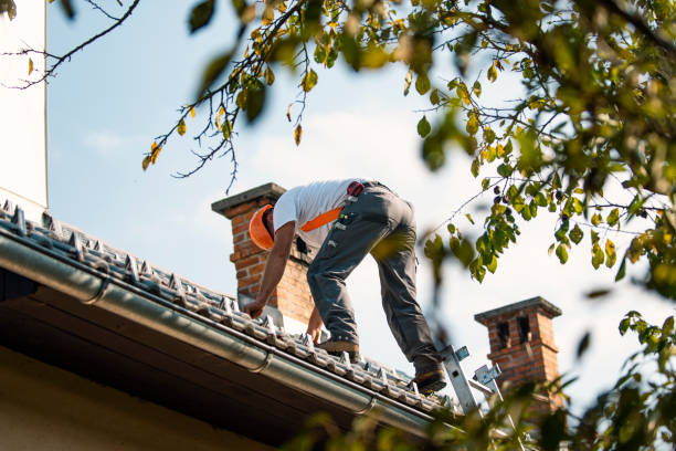 Best Roof Maintenance Services  in Crainvle, IL
