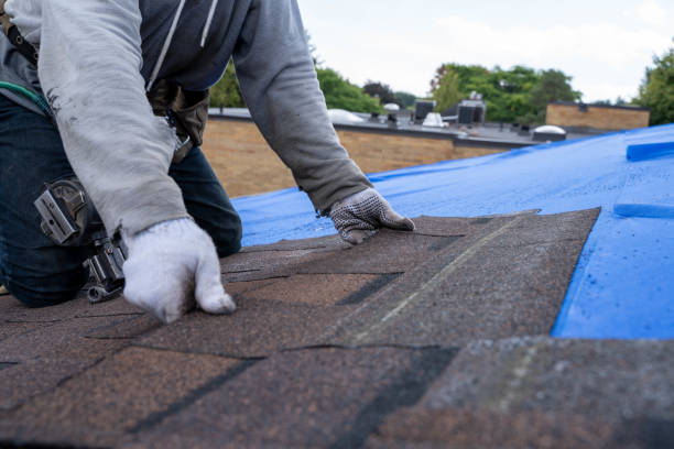 Best Affordable Roofing Company  in Crainvle, IL