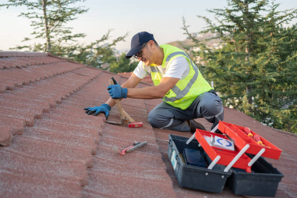 Best Sealant for Roof  in Crainvle, IL