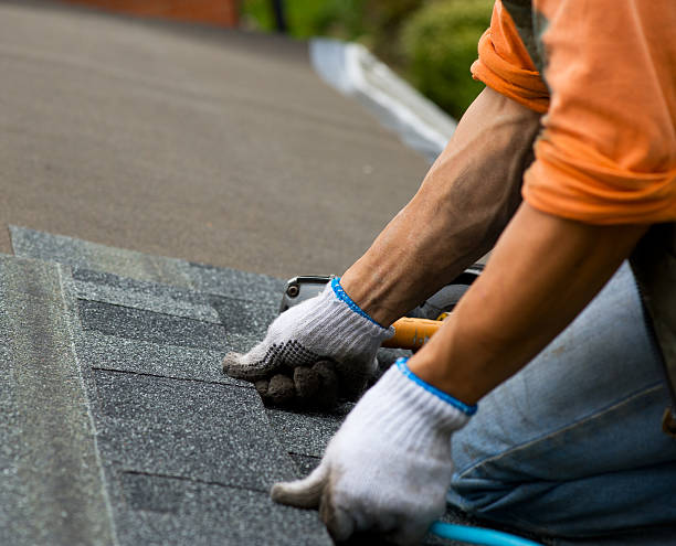Best Flat Roof Repair Services  in Crainvle, IL