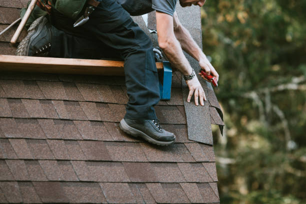 Best Roof Gutter Cleaning  in Crainvle, IL